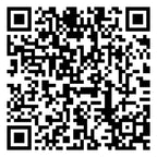 Shield Jr Essential Oil Roller Ball