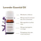 Calm & Hydrate Bundle