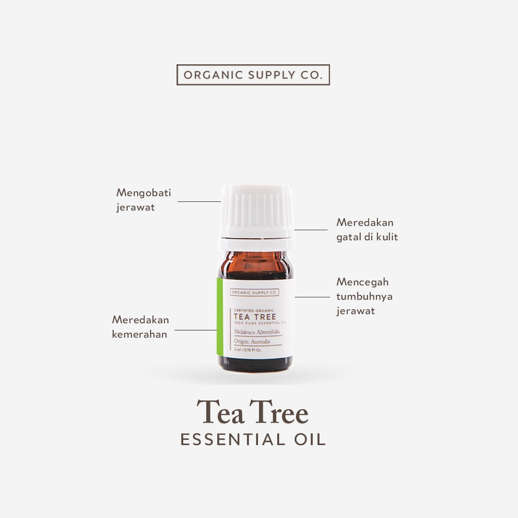Tea Tree Essential Oil