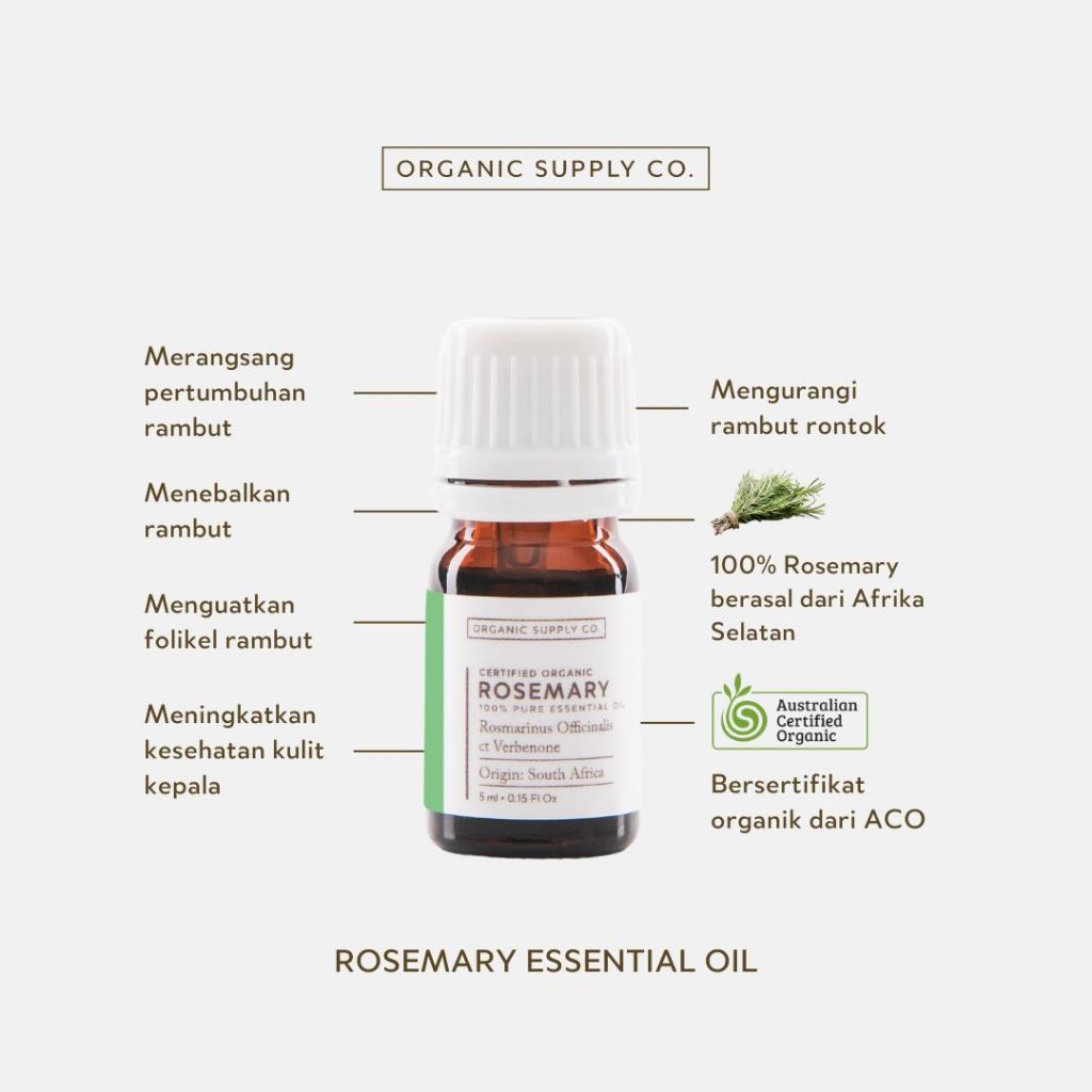 Rosemary ct Verbenone Essential Oil