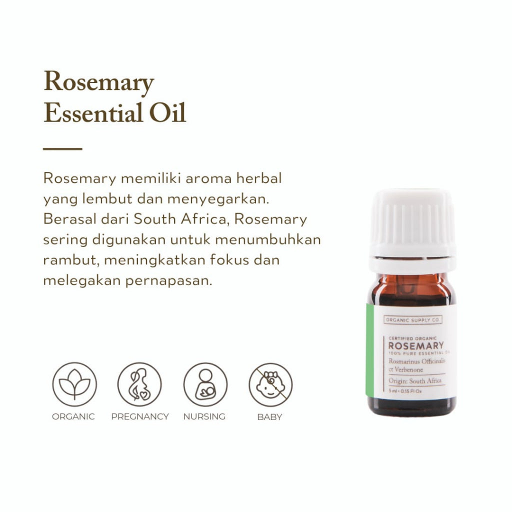 Rosemary ct Verbenone Essential Oil