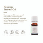 Rosemary ct Verbenone Essential Oil
