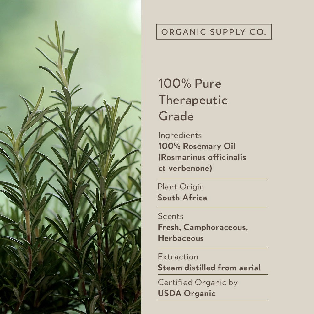 Rosemary ct Verbenone Essential Oil