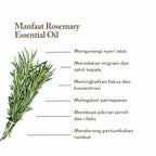 Rosemary ct Verbenone Essential Oil