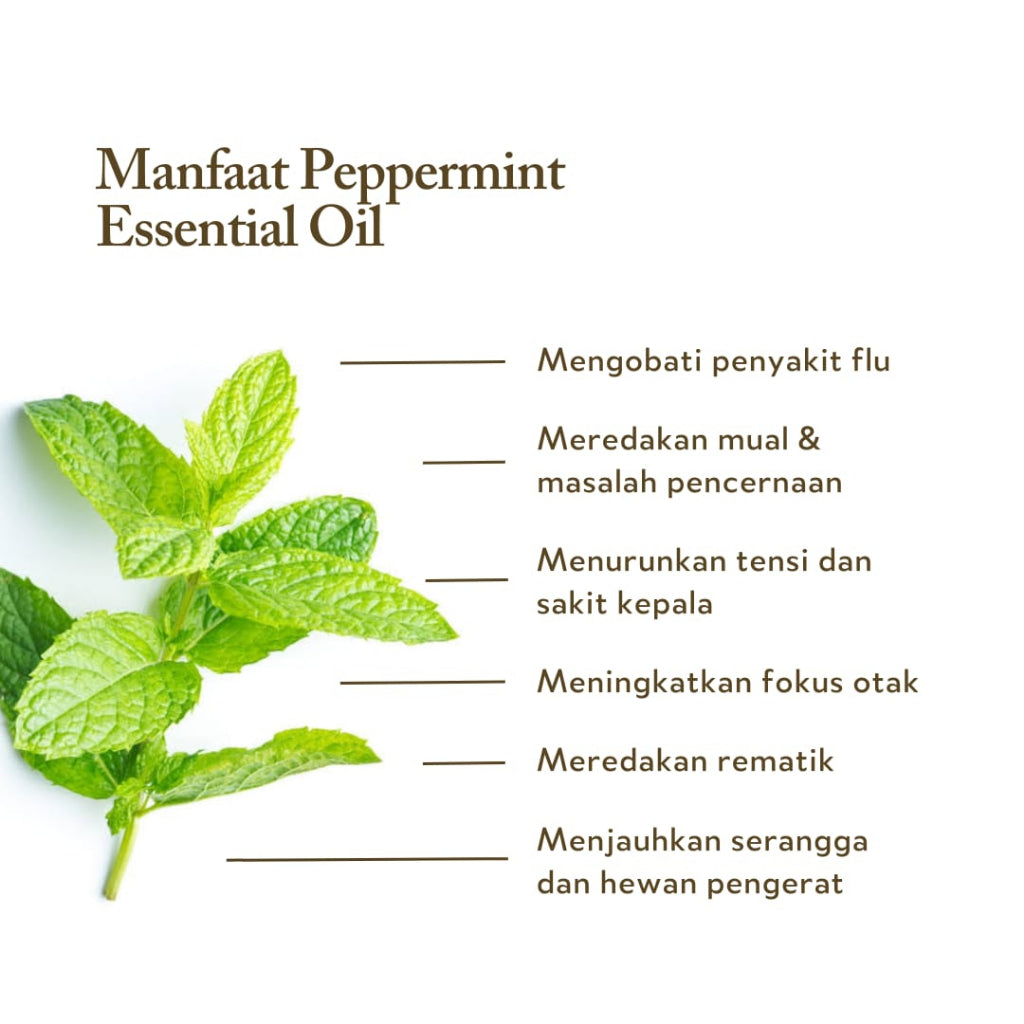 Peppermint Essential Oil