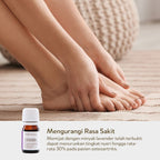 Lavender Essential Oil