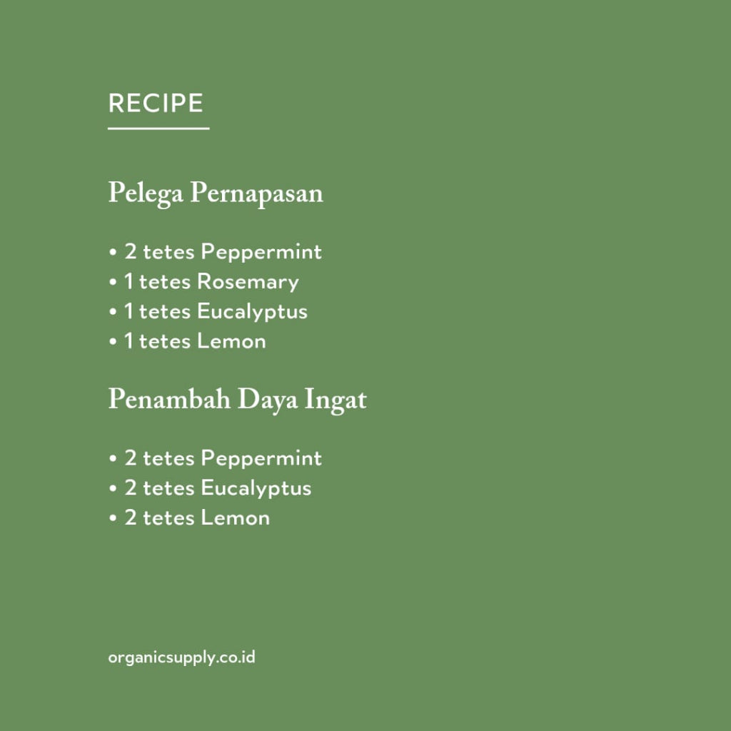 Rosemary ct Verbenone Essential Oil