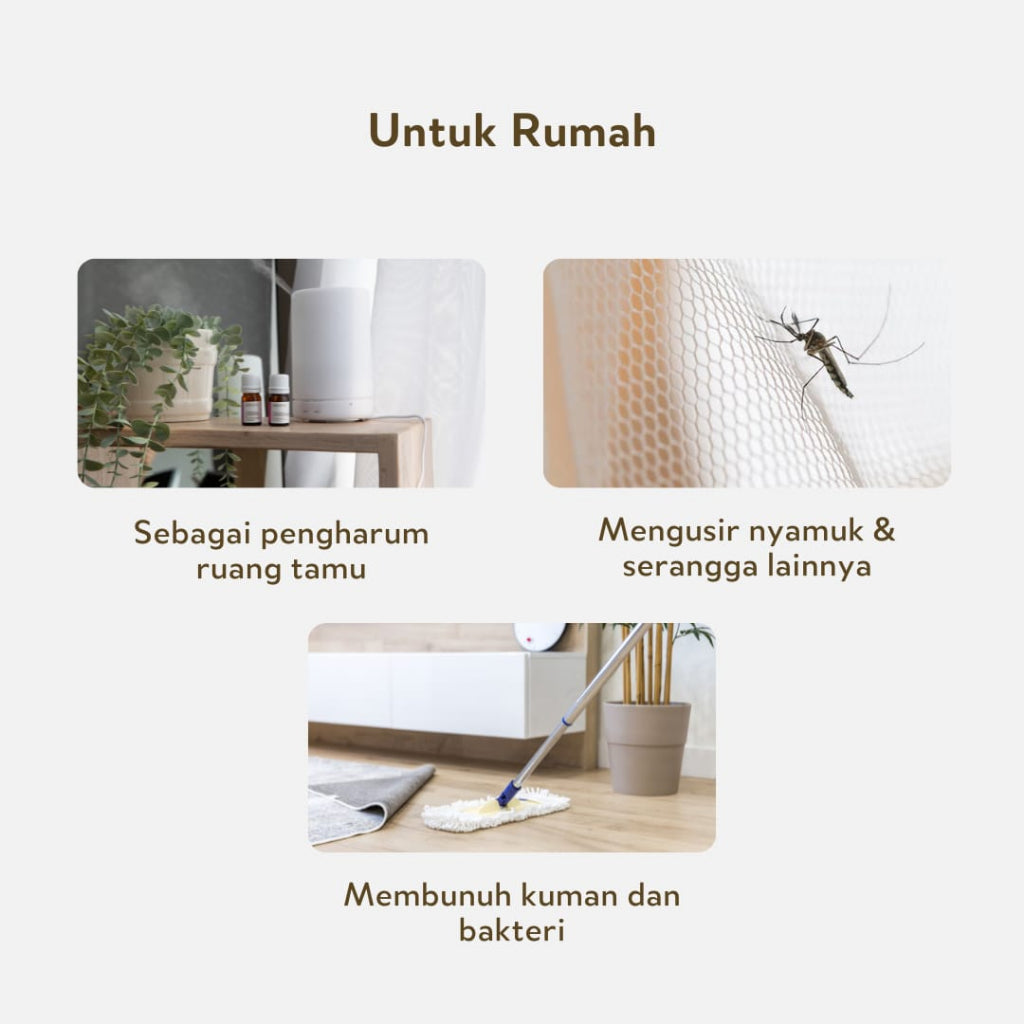 Lavender Essential Oil