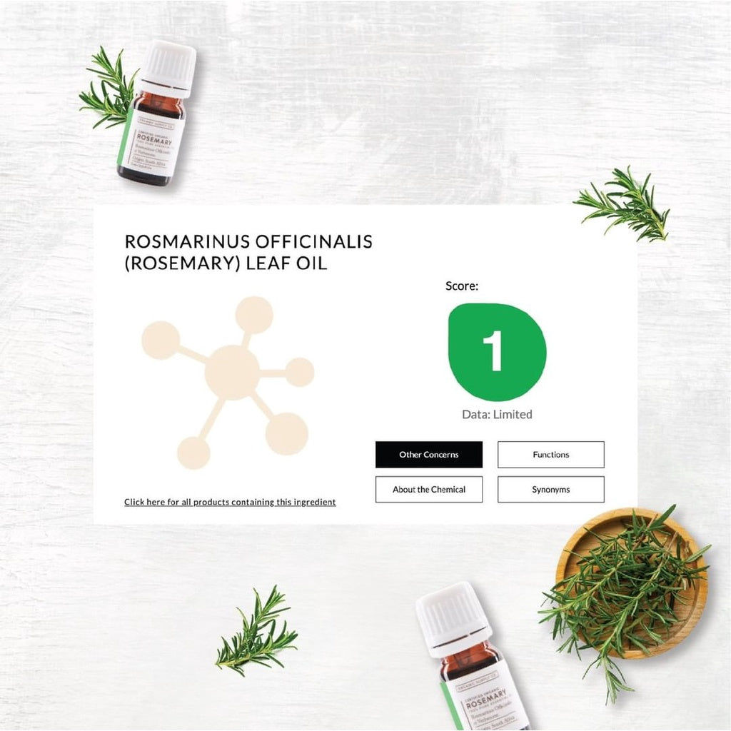 Rosemary ct Verbenone Essential Oil
