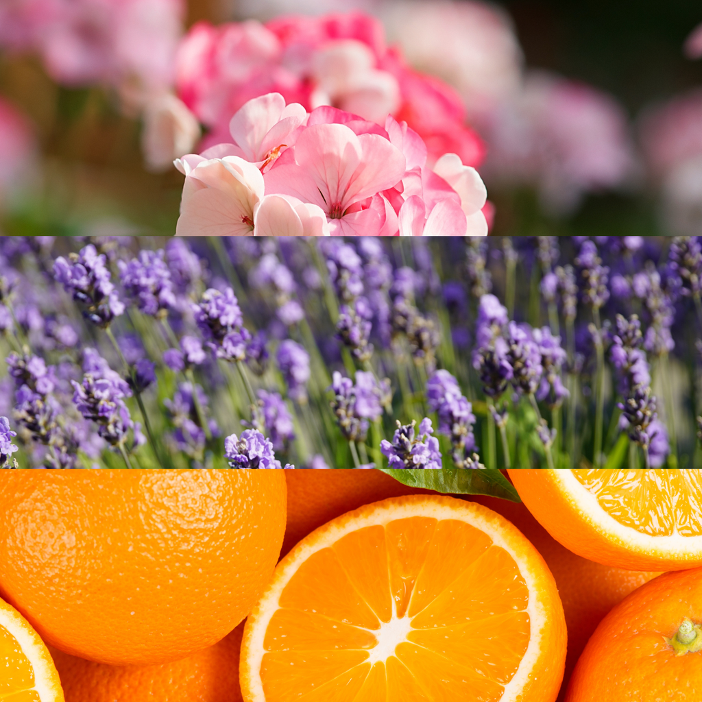 Aroma Scenting - Dream