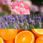 Aroma Scenting - Dream