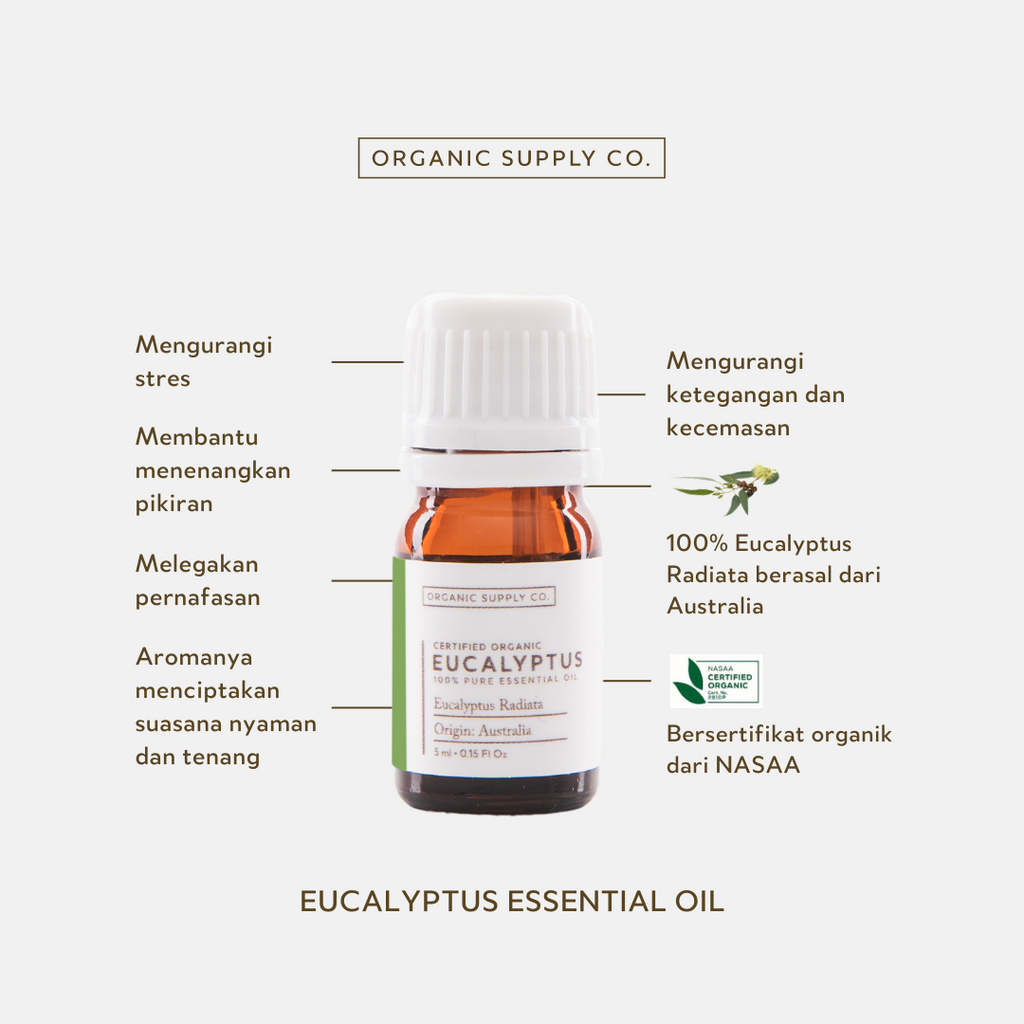 Eucalyptus Radiata Essential Oil