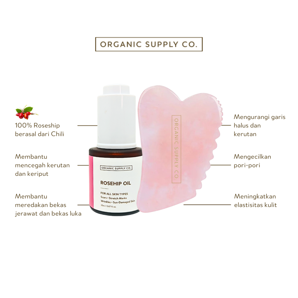 Glow & Renew Kit