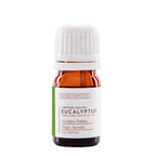 Eucalyptus Radiata Essential Oil