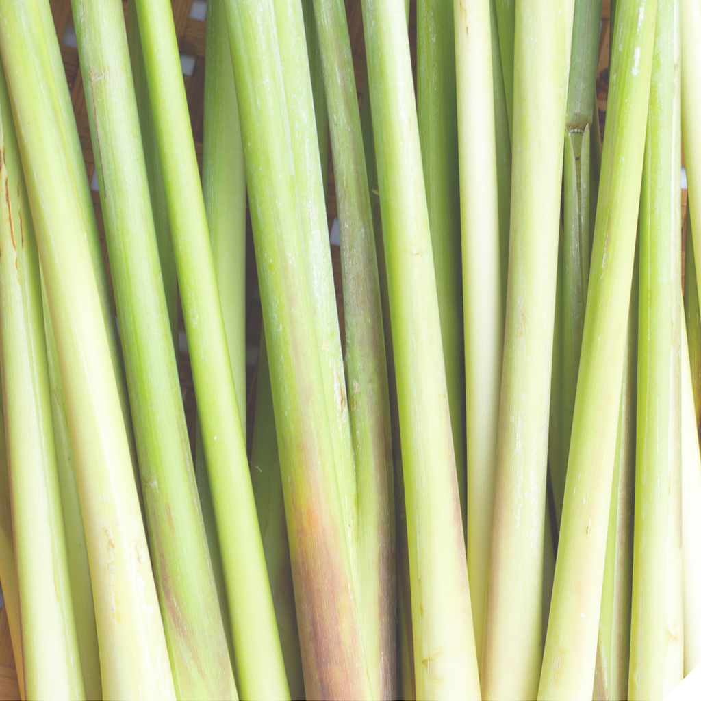 Lemongrass Essential Oil