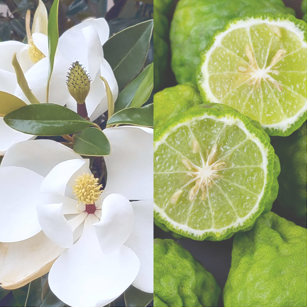 Sweet Magnolia Reed Diffuser