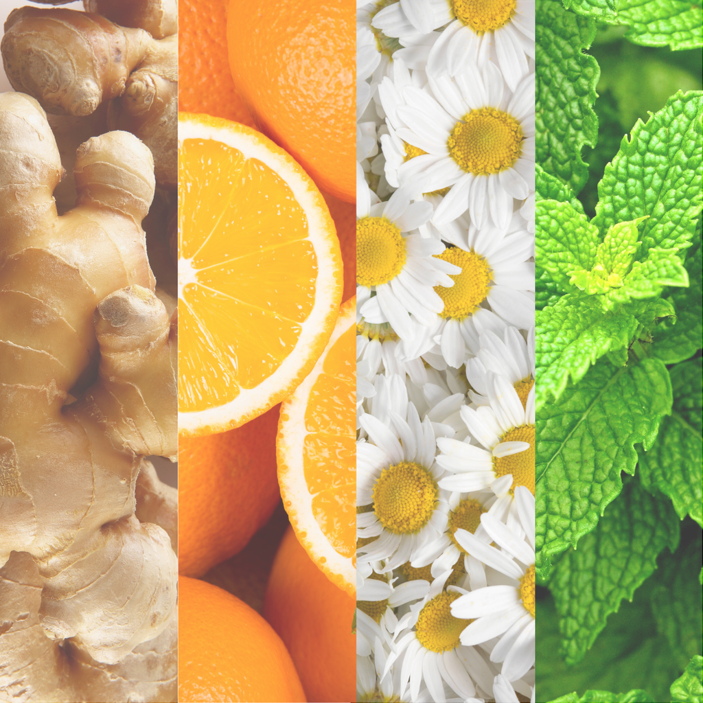 Gutsy Essential Oil Roller Ball