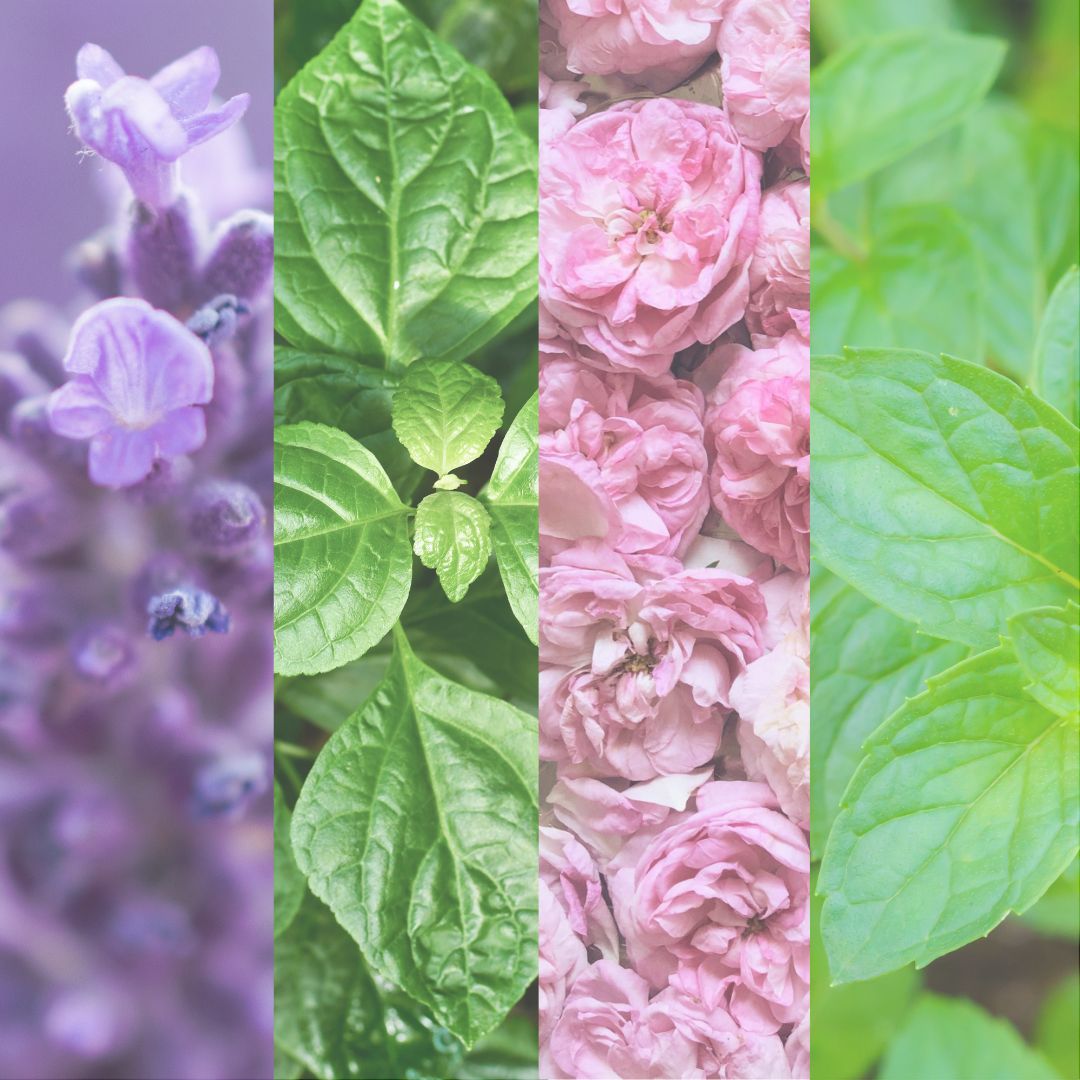 Itchy Essential Oil Roller Ball