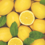 Lemon CP Essential Oil