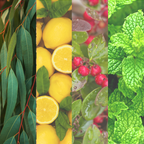 Relieve Essential Oil