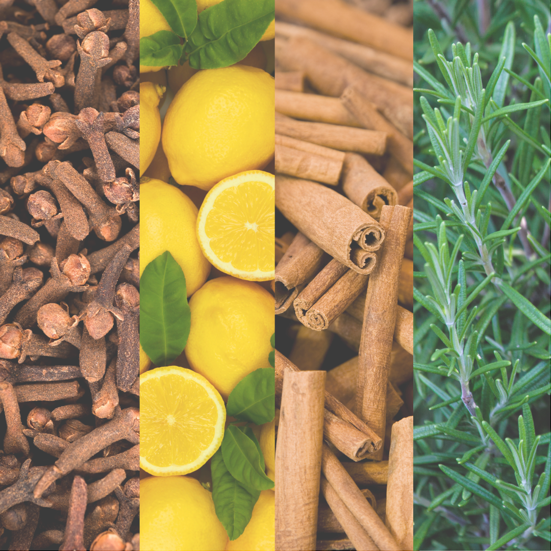 Shld Essential Oil Roller Ball